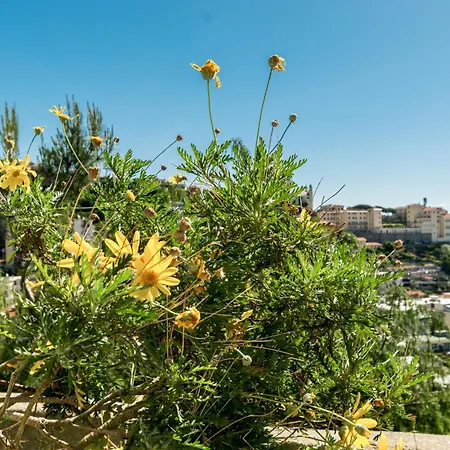 アパート Stupendo Trilocale Posto Auto Gratuito - Wifi & Netflix サンレモ